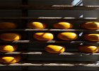 2012-09-07-1306-49  The Netherlands Open Air Museum - cheeses maturing
